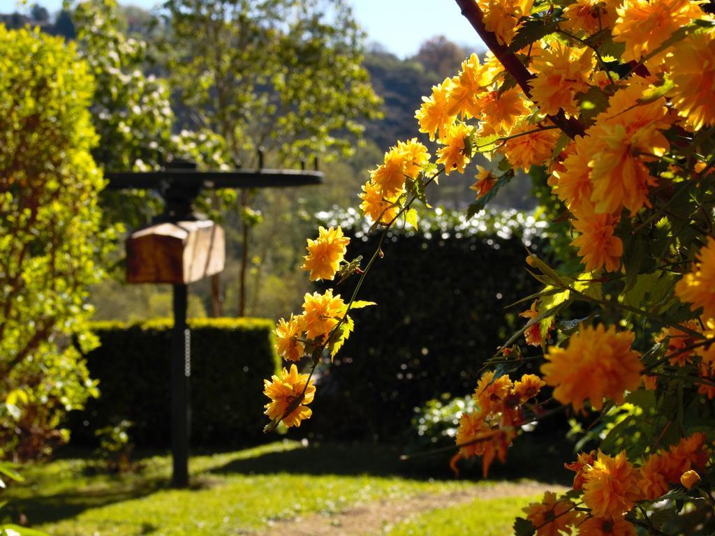 Ermitage Saint Vincent B&B Vieille-Brioude Eksteriør bilde